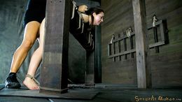 Big tit sluts submit their throats for a good fuck