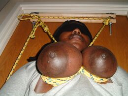 rifran black tied tits 03