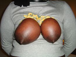 rifran black tied tits 03
