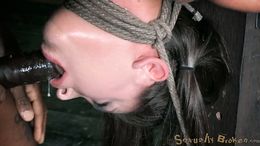Lass hangs upside down and submissive sucks her master