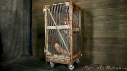 Insane deepthroat for two sluts