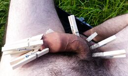 My foreskin with clothes pins