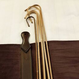 Favorite implements in the discipline of naughty schoolgirls