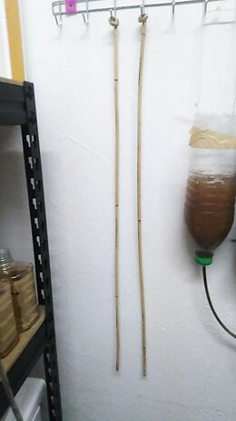 Christmas gifts for young ladies