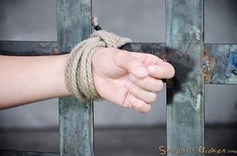 Tied to cage brunette gets fucked by the mighty black dick