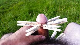 My foreskin with clothes pins