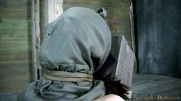 Horny bitches are getting bound and dominated