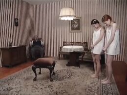 Humility and pain, the key to discipline